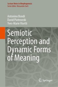 bokomslag Semiotic Perception and Dynamic Forms of Meaning