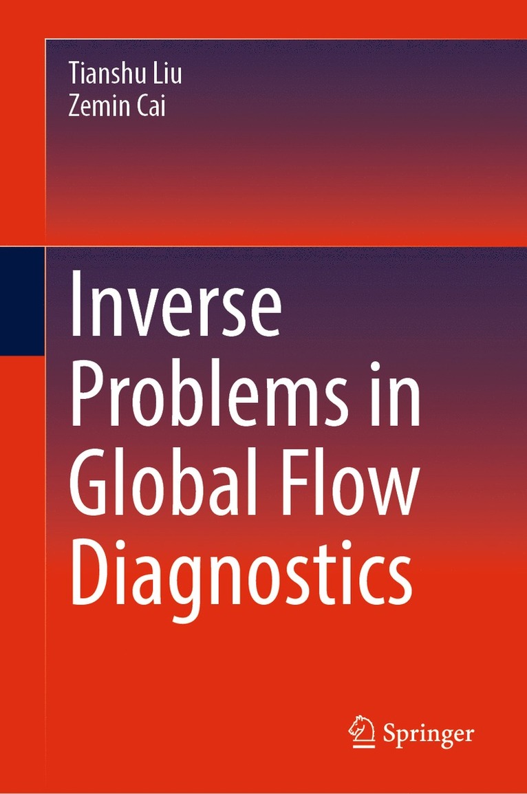 Tianshu Liu, Zemin Cai - Inverse Problems in Global Flow Diagnostics, Inbunden