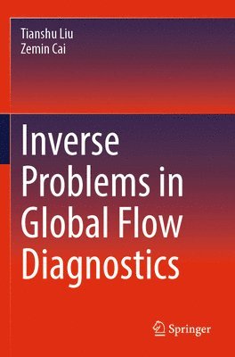 Tianshu Liu, Zemin Cai - Inverse Problems in Global Flow Diagnostics, Häftad