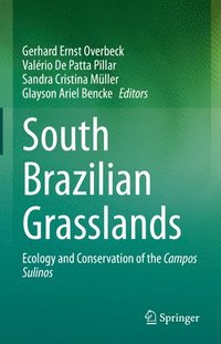 bokomslag South Brazilian Grasslands