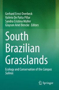 bokomslag South Brazilian Grasslands