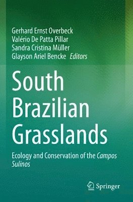 South Brazilian Grasslands 1