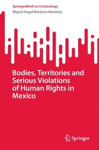 bokomslag Bodies, Territories and Serious Violations of Human Rights in Mexico