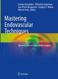 bokomslag Mastering Endovascular Techniques