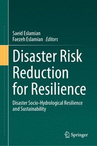 bokomslag Disaster Risk Reduction for Resilience