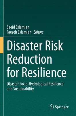 bokomslag Disaster Risk Reduction for Resilience