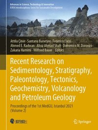 bokomslag Recent Research on Sedimentology, Stratigraphy, Paleontology, Tectonics, Geochemistry, Volcanology and Petroleum Geology