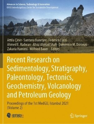 Attila Çiner, Santanu Banerjee, Federico Lucci, Ahmed E. Radwan, Afroz Ahmad Shah, Domenico M. Doronzo, Zakaria Hamimi, Wilfried Bauer, Attila Ciner - Recent Research on Sedimentology, Stratigraphy, Paleontology, Tectonics, Geochemistry, Volcanology and Petroleum Geology, Häftad