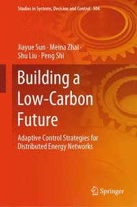 bokomslag Building a Low-Carbon Future