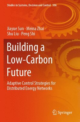 bokomslag Building a Low-Carbon Future