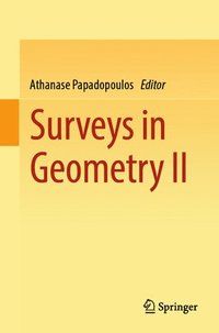 bokomslag Surveys in Geometry II