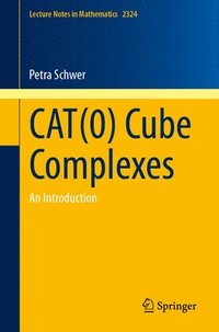 bokomslag CAT(0) Cube Complexes