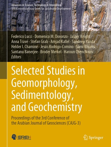 Federico Lucci, Domenico M. Doronzo, Jasper Knight, Anna Travé, Stefan Grab, Amjad Kallel, Sandeep Panda, Helder I. Chaminé, Jesús Rodrigo-Comino, Sami Khomsi, Santanu Banerjee, Broder Merkel, Haroun Chenchouni - Selected Studies in Geomorphology, Sedimentology, and Geochemistry, Inbunden