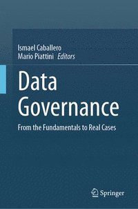 bokomslag Data Governance