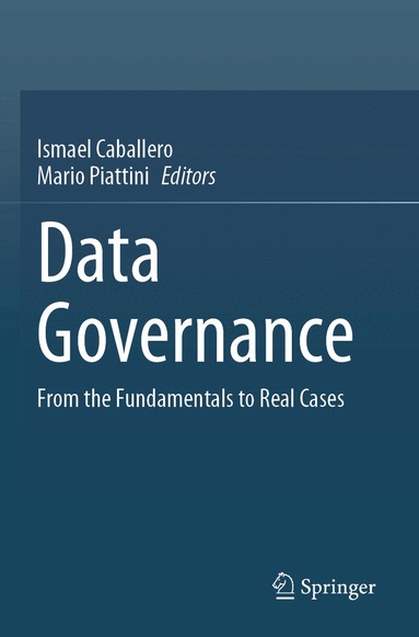 Ismael Caballero, Mario Piattini - Data Governance, Häftad