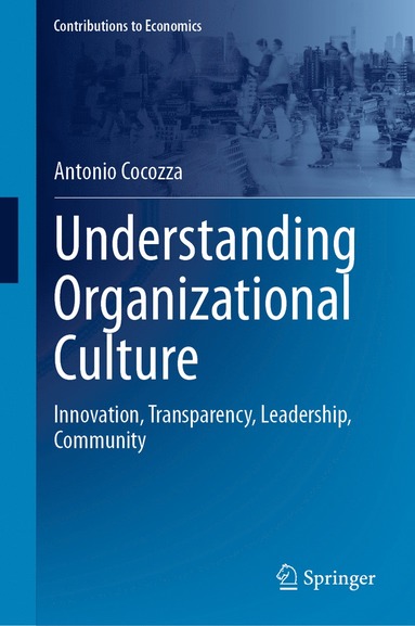 bokomslag Understanding Organizational Culture