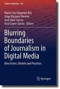 bokomslag Blurring Boundaries of Journalism in Digital Media