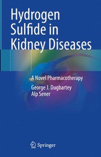 bokomslag Hydrogen Sulfide in Kidney Diseases