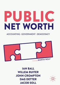 bokomslag Public Net Worth