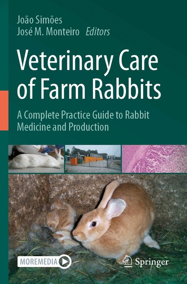 João Simões, José M. Monteiro - Veterinary Care of Farm Rabbits, Häftad