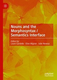 bokomslag Nouns and the Morphosyntax / Semantics Interface