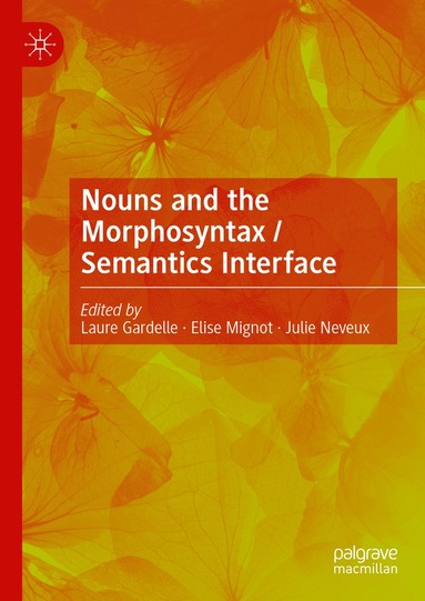 bokomslag Nouns and the Morphosyntax / Semantics Interface