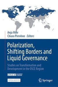 bokomslag Polarization, Shifting Borders and Liquid Governance