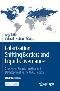 bokomslag Polarization, Shifting Borders and Liquid Governance