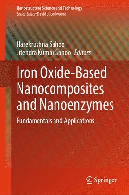 bokomslag Iron Oxide-Based Nanocomposites and Nanoenzymes