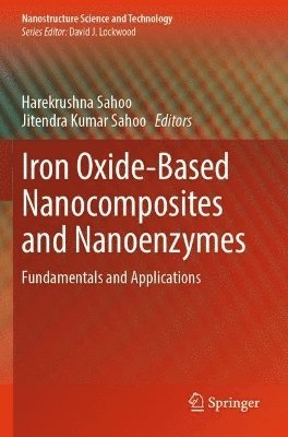 Harekrushna Sahoo, Jitendra Kumar Sahoo - Iron Oxide-Based Nanocomposites and Nanoenzymes, Häftad