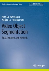 bokomslag Video Object Segmentation