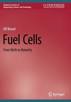 bokomslag Fuel Cells