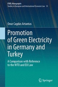 bokomslag Promotion of Green Electricity in Germany and Turkey