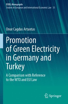 bokomslag Promotion of Green Electricity in Germany and Turkey