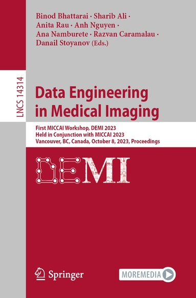 Binod Bhattarai, Sharib Ali, Anita Rau, Anh Nguyen, Ana Namburete, Razvan Caramalau, Danail Stoyanov - Data Engineering in Medical Imaging, Häftad