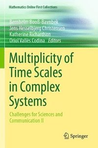 bokomslag Multiplicity of Time Scales in Complex Systems