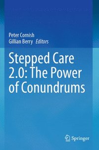 bokomslag Stepped Care 2.0: The Power of Conundrums