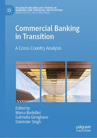 bokomslag Commercial Banking in Transition
