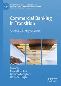 bokomslag Commercial Banking in Transition