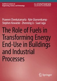 bokomslag The Role of Fuels in Transforming Energy End-Use in Buildings and Industrial Processes