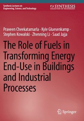 The Role of Fuels in Transforming Energy End-Use in Buildings and Industrial Processes 1