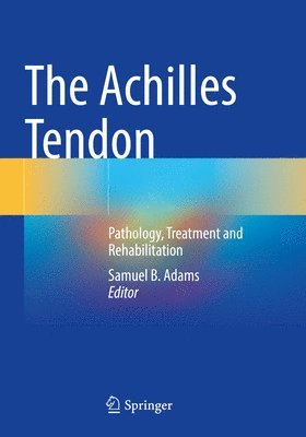 bokomslag Achilles Tendon