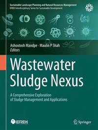 bokomslag Wastewater Sludge Nexus