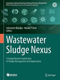 bokomslag Wastewater Sludge Nexus