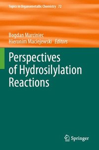 bokomslag Perspectives of Hydrosilylation Reactions