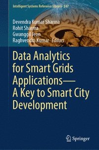 bokomslag Data Analytics for Smart Grids ApplicationsA Key to Smart City Development