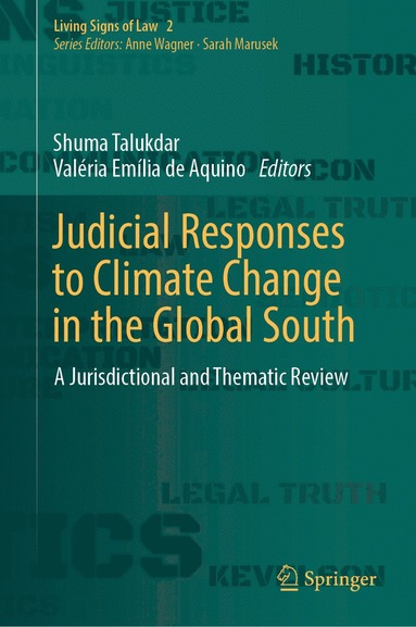 bokomslag Judicial Responses to Climate Change in the Global South