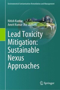 bokomslag Lead Toxicity Mitigation: Sustainable Nexus Approaches