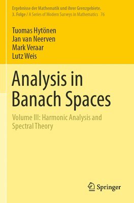 bokomslag Analysis in Banach Spaces