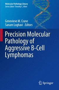 bokomslag Precision Molecular Pathology of Aggressive B-Cell Lymphomas